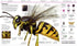 Encyclopedia of Knowledge - 9786170989451